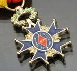 Emblems, Lion badge, printing badge,Brass/Copper /Zinc alloy/Iron/pewter, bag pin badge